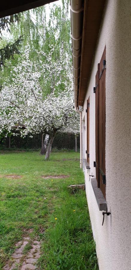 Maison Entre Relooking Et Modernité Dans Un Cadre Verdoyant Pour Amoureux De Grands Espaces Nogent-sur-Vernisson